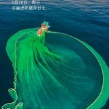 不凡荷叶pIA头像
