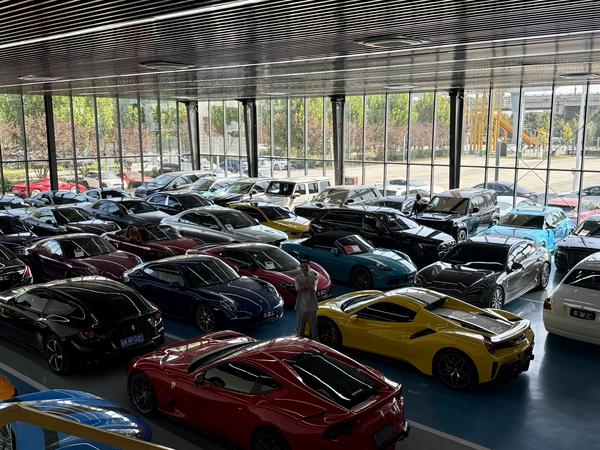 豪君新方向头像