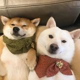 兮熙汐头像