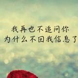 骑猪去旅行825头像