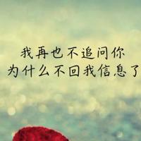 骑猪去旅行825头像