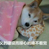 缘定幸福573头像