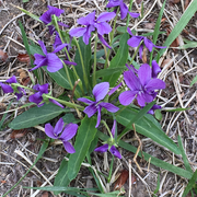 李泽强的个人资料头像