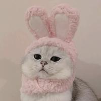 我与你相遇梦中头像