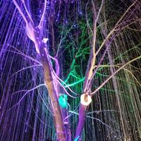 用户90453947848头像