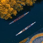吴奇飞的个人资料头像