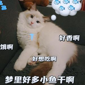 妳的微笑doudou头像