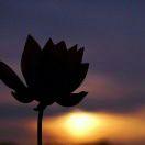 佰旺丶的个人资料头像