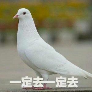 许小胖爱跑步头像