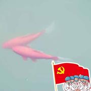 喜欢偷吃的个人资料头像