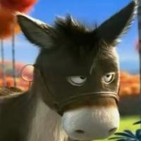 一种植物的种子头像