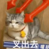 用户2233814733456头像