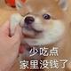 野蛮疯狂的泰迪 · 途锐车主·车龄4年头像