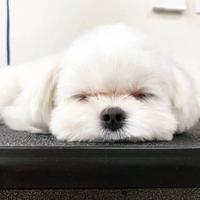 用户1249234296783头像