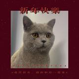随喜9270头像