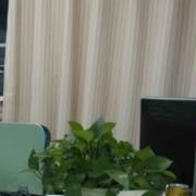 saoyor4664的个人资料头像