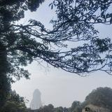 云河763头像