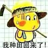 枫林2685头像