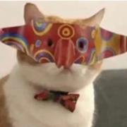 六便士买月亮的个人资料头像