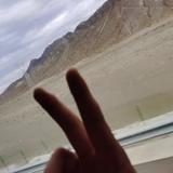 哈哈又嘎嘎1258头像