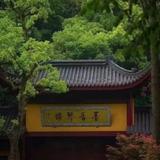 程倾听58009401头像
