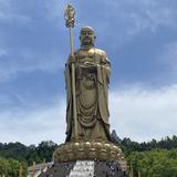 一往无前辰星TnI头像