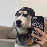 用户7796027531186头像