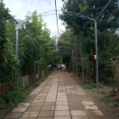 KingCode的个人资料头像