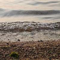 韭韭归一打啥车头像