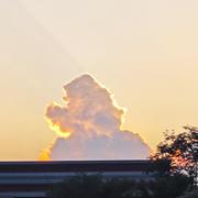 _Steven的个人资料头像