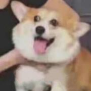 The_fool的个人资料头像