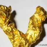 艺圣君头像