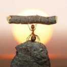 奋斗之路的个人资料头像