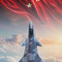 老六说军武头像