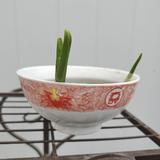 潇洒疯狂的大使头像