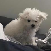 陆知行的个人资料头像