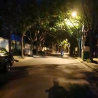 无意烦他爸头像