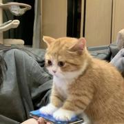 zero759的个人资料头像