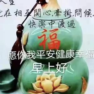 上进伯特6l0头像