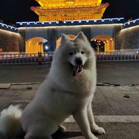 用户54421722头像