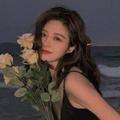 遗忘曲线图头像
