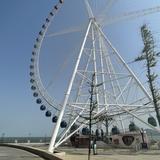 仙鹤门积极分子头像