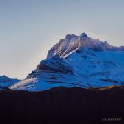 AIPls的个人资料头像