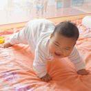 Soyl的个人资料头像