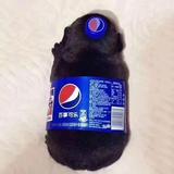 用户1552887079241头像