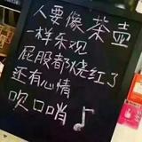 乘风破浪的风筝BO头像