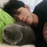 奋发梦想gl8头像
