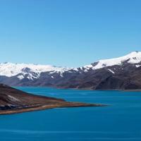 完美饺子汤头像