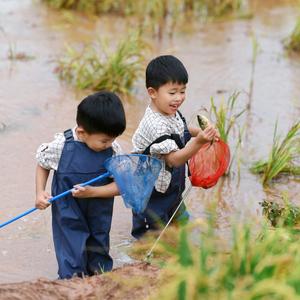 两只小昭头像