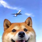 Sky991的个人资料头像